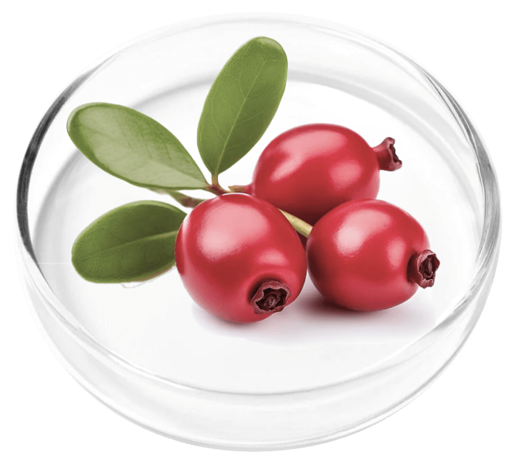 Femicore ingredient Bearberry